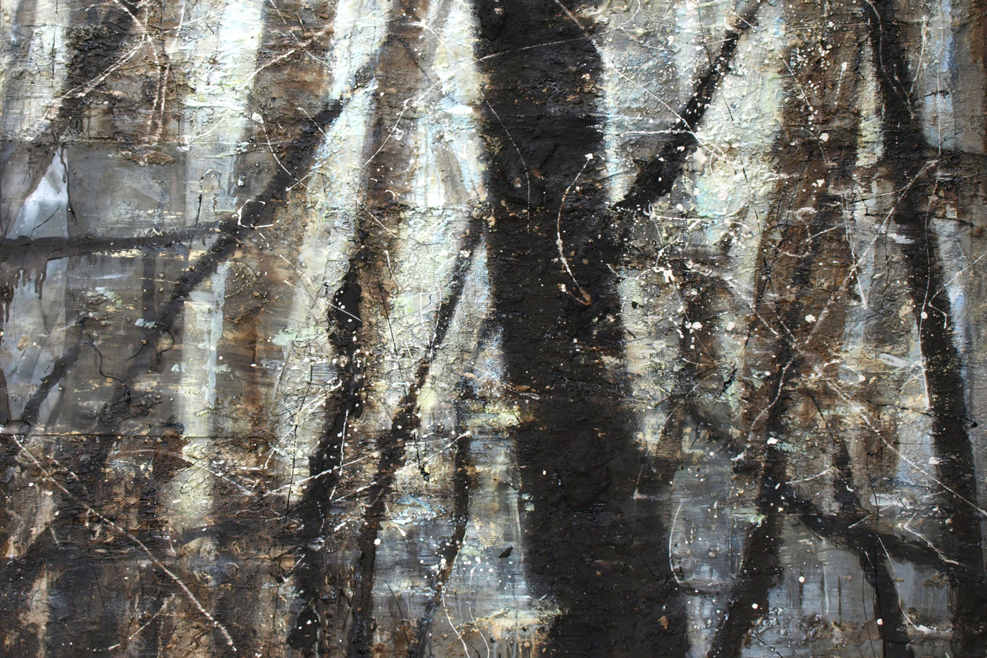 Backlight Forest